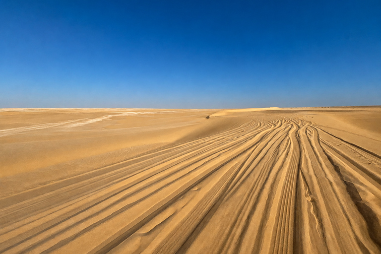 From Cairo: 4x4 Desert Safari, Waterfalls & Magic Lake Shared Tour: Wadi El Rayan, Magic Lake & Lake Qarun, Jeep