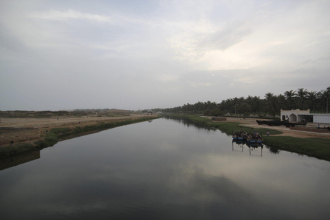 Salalah: Private City Tour — Half or Full Day Half day - Coach (21-45 guests)