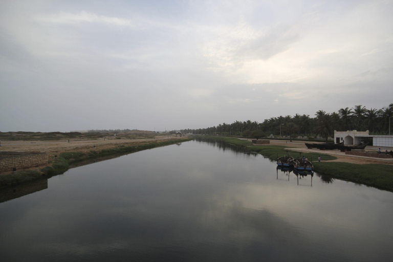 Salalah: Private City Tour — Half or Full Day Half day - Coach (21-45 guests)
