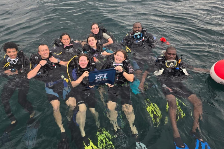 Mombasa: Scuba Diving Experience with Hotel Transfer