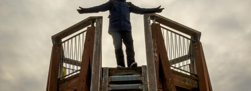 Oulu : randonnée sauvage à Hietasaari avec guide nature (toutes saisons)