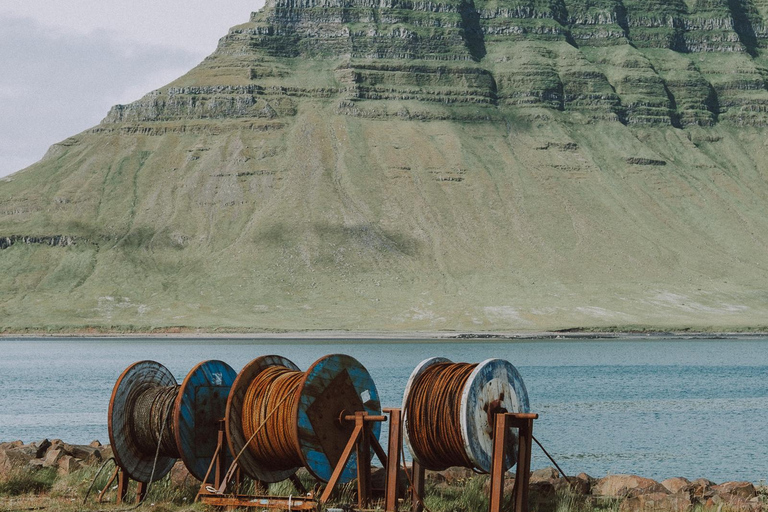 Z Grundarfjörður: Półdniowa wycieczka na półwysep Snæfellsnes