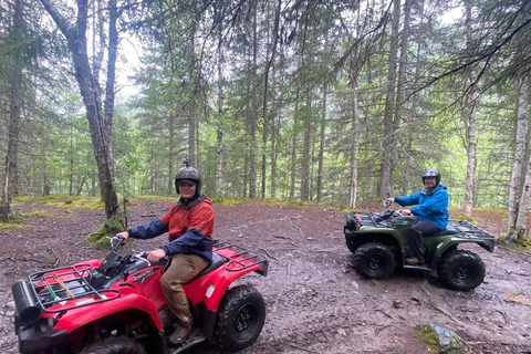 Bird Creek: Chugach State Park ATV Nature Tour & Hike Afternoon Adventure - Single ATV