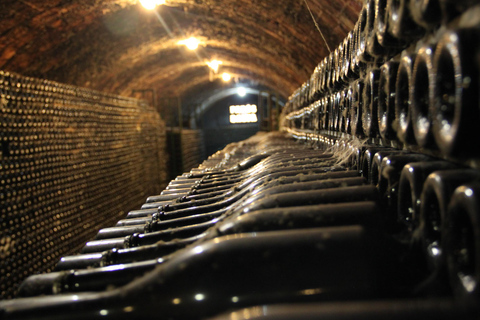 Catalogna: Visite alle cantine uniche e su misura