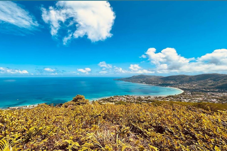 Mare Aux Cochon (Private Hiking Activity) - All Inclusive