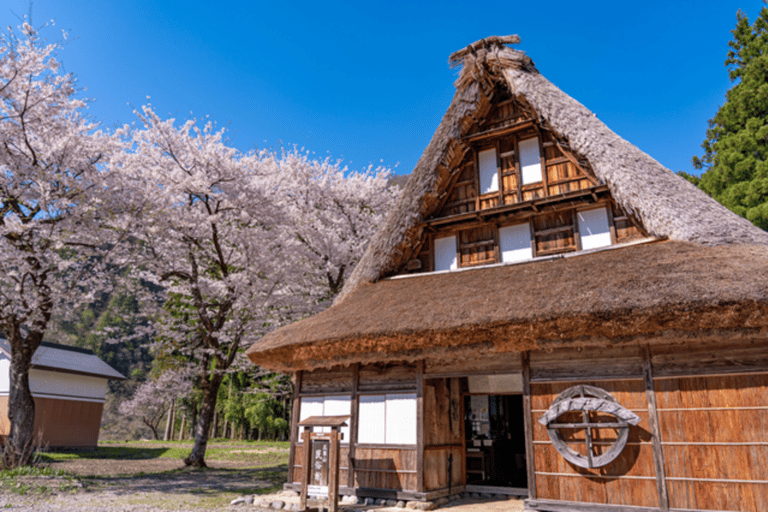 Visite à la journée de Shirakawago&amp;HidaTakayama&amp;GujoHachiman depuis Nagoya