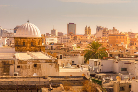 Monastir or Sousse: Tunis and Sidi Bou Said Day Trip