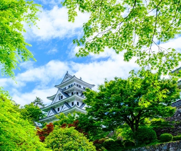 De Nagoya: Excursão de um dia a Gujo, Hida Takayama e Shirakawa-go