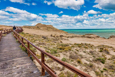 El Calafate: Monte León 4x4 Wolves and Penguins Excursion