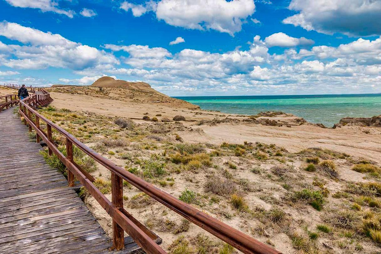 El Calafate: Monte León 4x4 Wolves and Penguins Excursion