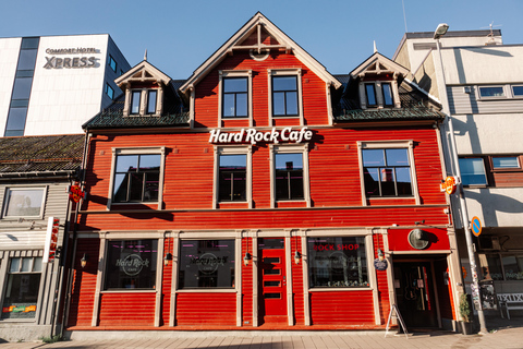 Brews and Views: City Walk in Tromsø with Beer Tasting