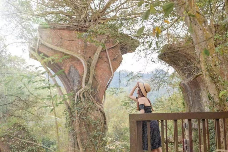 台北/台中出发：苗栗深度之旅10小时旅程 {四座商务轿车}