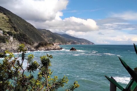 From Livorno: Accessible Cinque Terre and Pisa Private Trip