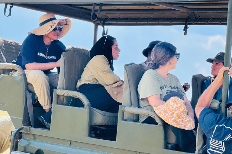 Dar es Salaam : safari de 2 jours dans le parc Mikumi en train de luxeDar es Salaam : circuit de 2 jours dans le parc Mikumi en train de luxe