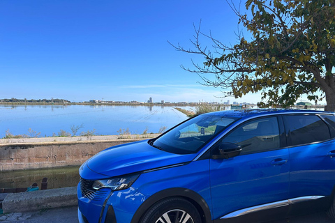 Valencia: Caves of San José - Private transportation in a small group (Max 4p) Valencia: San José Caves - Private transportation in a small group (Max 4p)