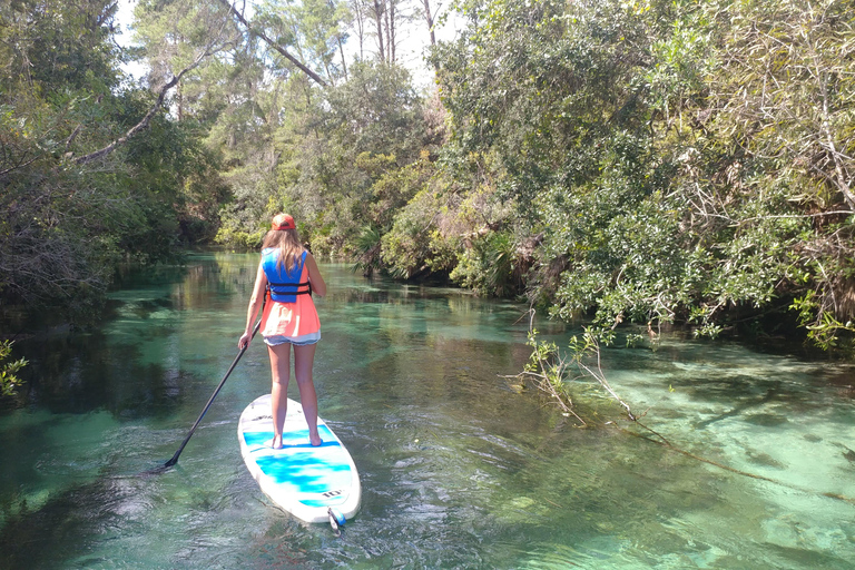 Miami: Biscayne Bay Ultimate Boat Tour with Kayak Experience