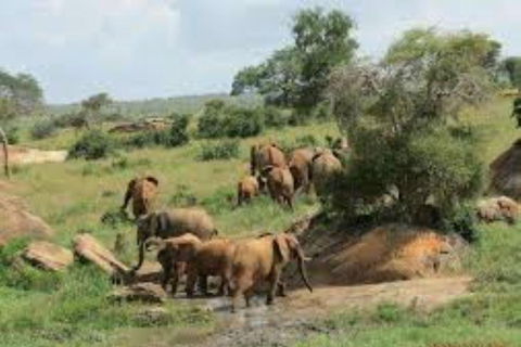 Mombasa: 4-Day Tsavo East, West, & Taita Hills Safari