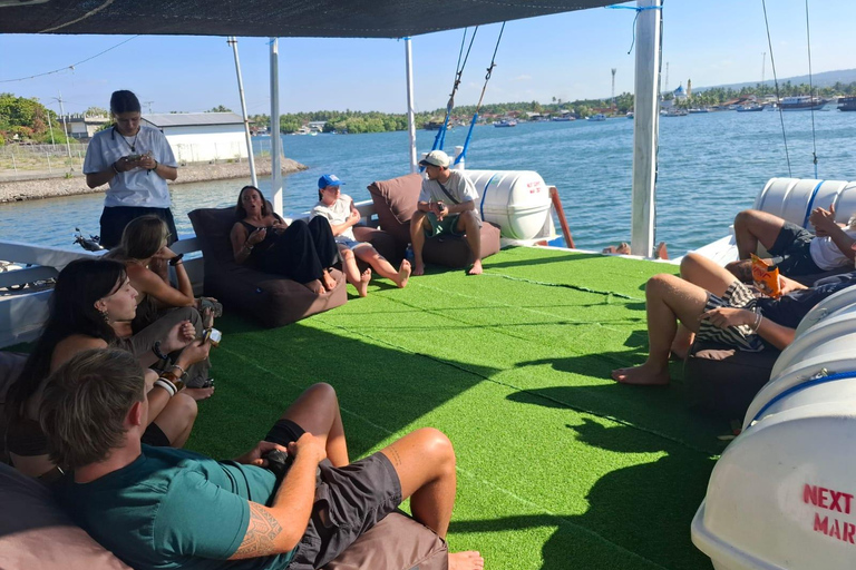 Komodo Islands: 4-Day Liveaboard, Dragons, Whale Sharks Private Room (Double Bed, AC)
