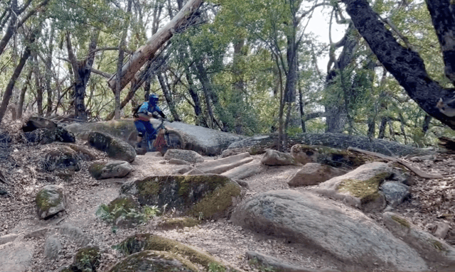 Yosemite Valley: KHS Hardtail Mountain Bike Rental