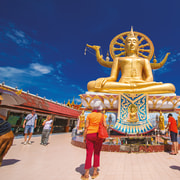 Koh Samui: Half-Day Highlight Tour + Elephant Camp Option