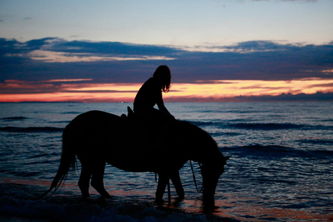 Saint Lucia: Sunset Horseback Ride & Ocean Swim Experience