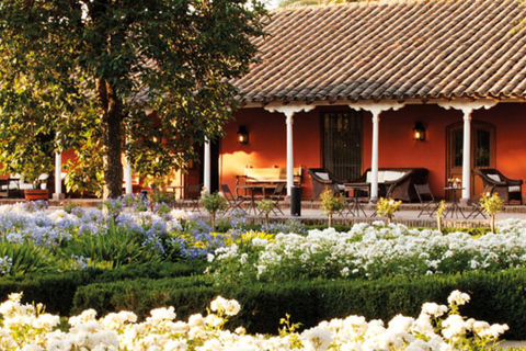 Z Santiago: Wycieczka do winnicy Viña Santa Rita z transferem