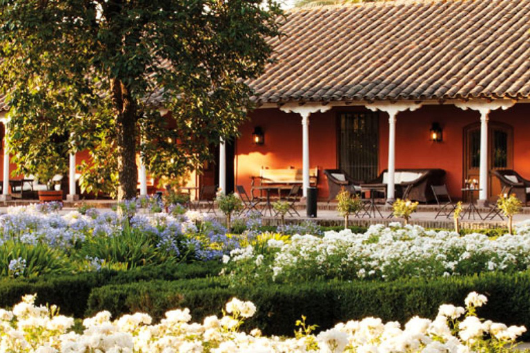 Z Santiago: Wycieczka do winnicy Viña Santa Rita z transferem