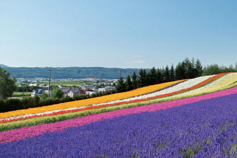 Sapporo Day Tour: Biei Blue Pond & Lavender Farm with Lunch 7:30 Pickup Point + Flower Sea Ticket (with Buffet + Melon)