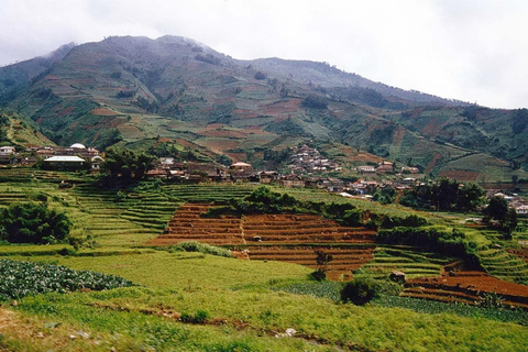 Desde Yogyakarta : Excursión de un día a la Meseta de Dieng