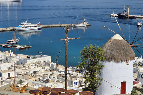 Tour particular de 4 horas pela ilha de Mykonos em microônibus de luxo