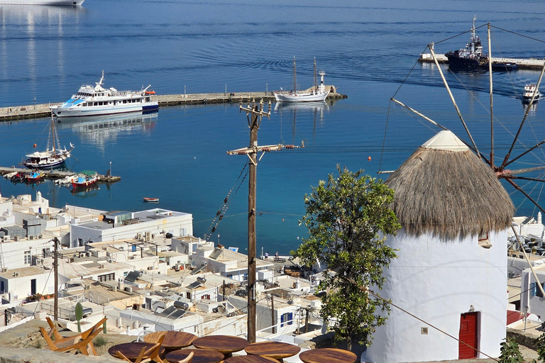 Tour privato di 4 ore dell&#039;isola di Mykonos in minibus di lusso