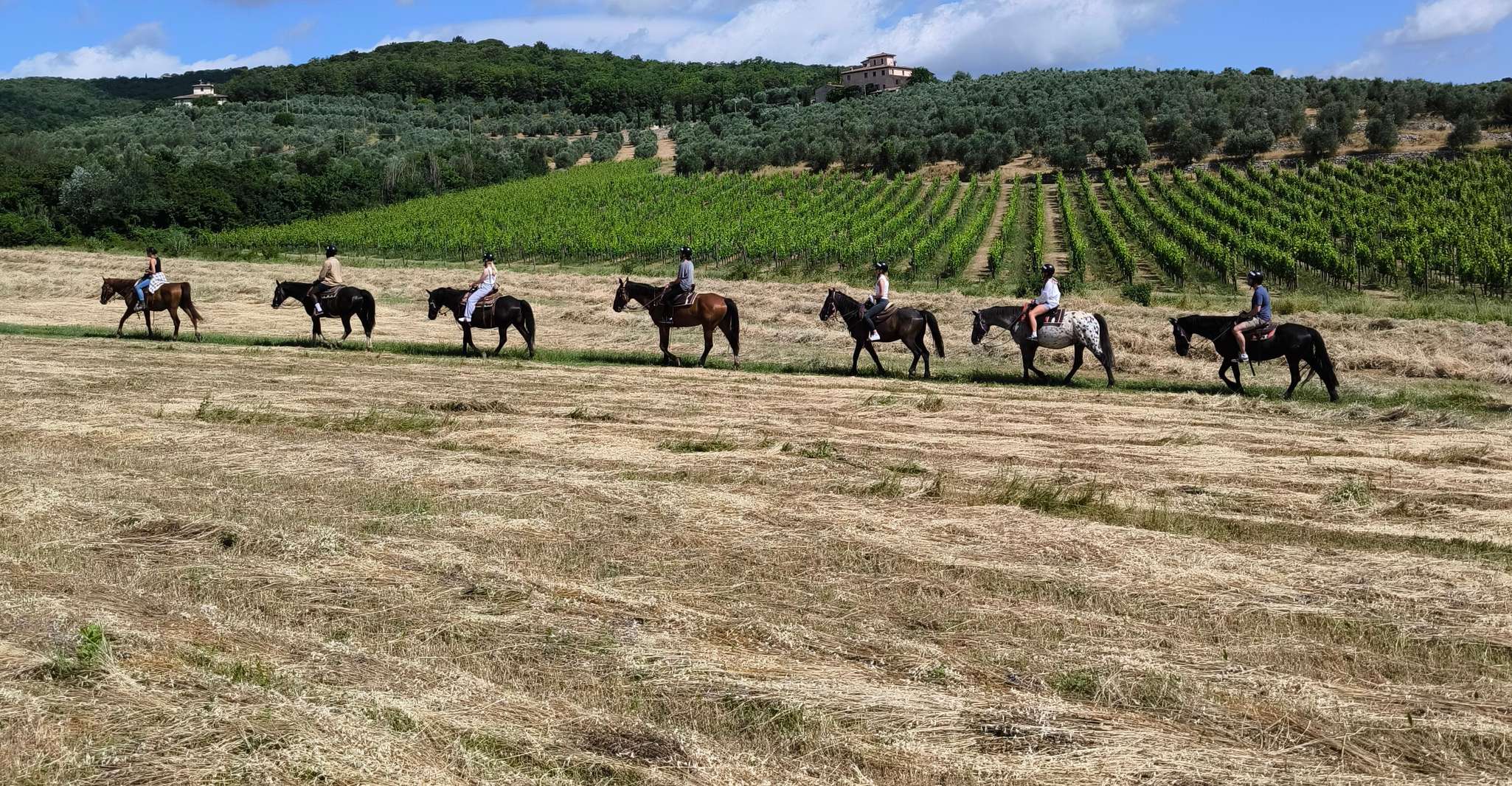 Florence: Horseback Riding Tour with Wine Tasting & Transfer photo 4