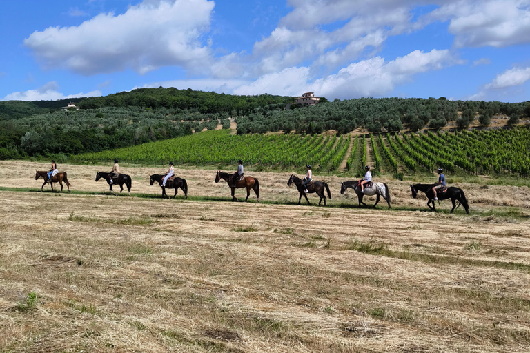 Firenze: Tour a cavallo con degustazione di vini e trasferimento