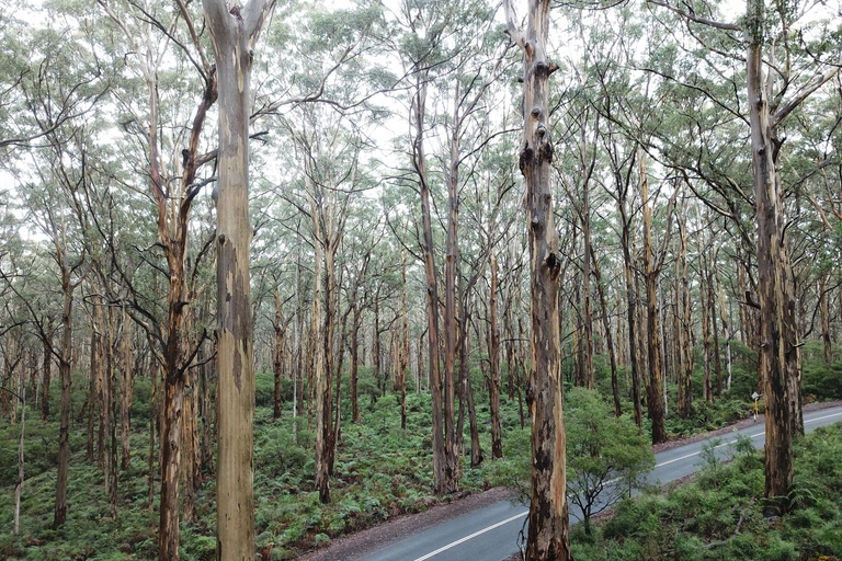 Desde Perth Excursión de 4 días de Margaret River a Albany