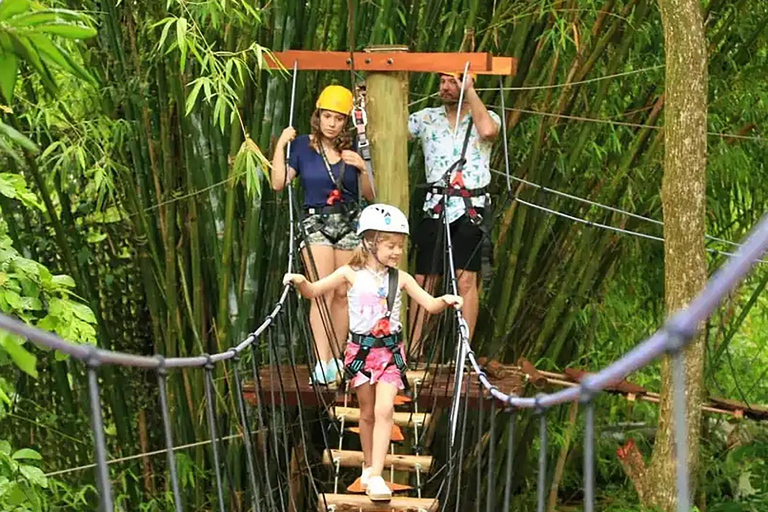 Foz do Iguaçu Tree climbing and zip-lining at Dino Adventure