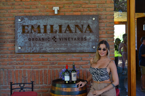 Santiago: Valparaíso Cruise Port Transfer & Vineyard Tour