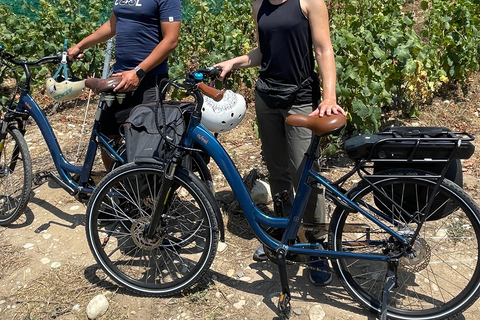 Visite en petit groupe guidée en E-Bike dans le vignoble bio de Nice