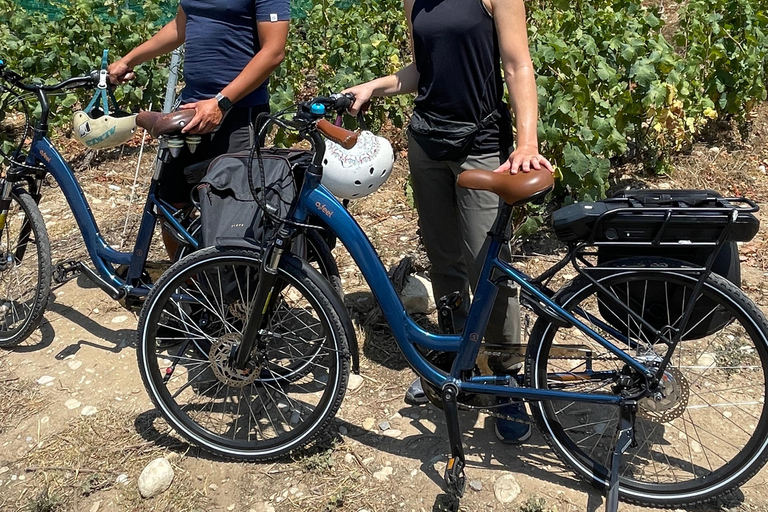 Small Group Guided E-Bike Tour in Nice’s Organic Vineyard