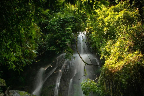 Kathmandu: Jamacho (Nagarjung Danda) dagwandelingJamacho trektocht