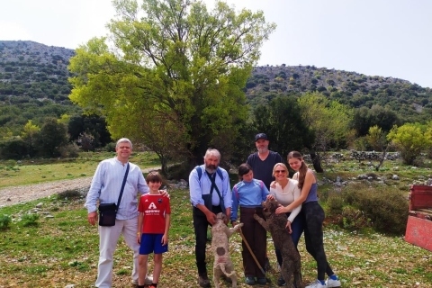 Desde Elounda o Agios Nikolaos: tour privado de caza de trufasTour en limusina o SUV de 3 asientos