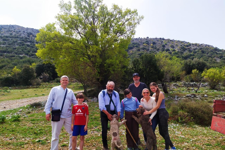 Desde Elounda o Agios Nikolaos: tour privado de caza de trufasTour en limusina o SUV de 3 asientos