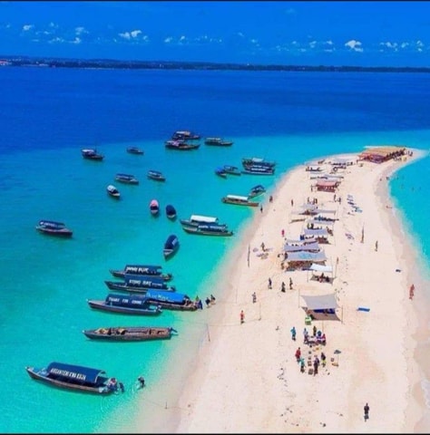 Zanzibar: Pungume Private Safari Blue Picnic