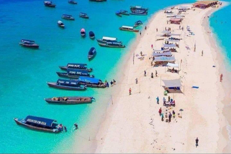 Zanzibar: Prywatne safari Pungume z piknikiem BlueZanzibar: Prywatne safari Pungume z niebieskim piknikiem