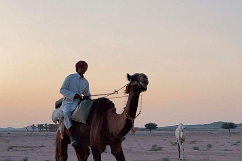 Riyadh: 2-day tour of 5 heritage villages and a safari trip