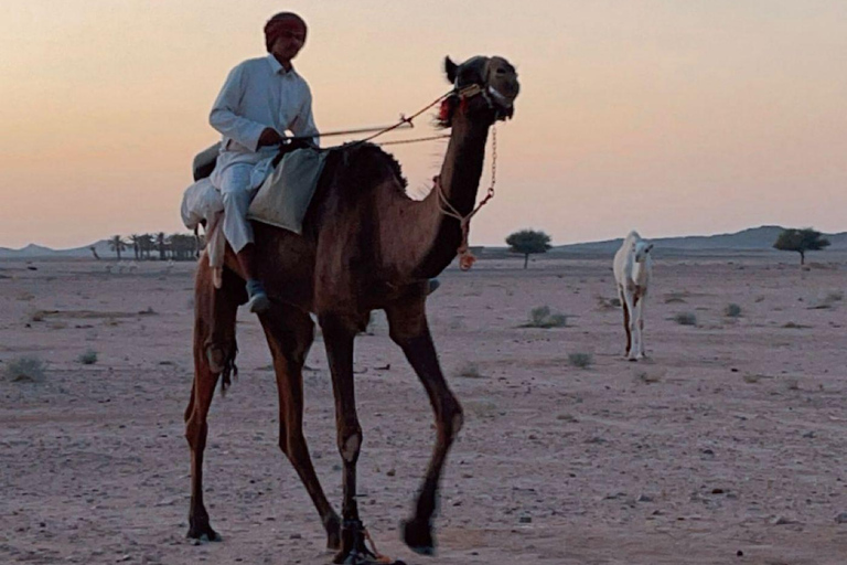 Riyadh: 2-day tour of 5 heritage villages and a safari trip