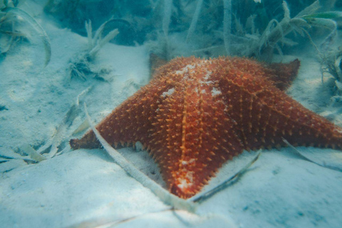 Luksusowy rejs prywatnym mini-jachtem po Parku Narodowym CotubanamáLuksusowy rejs prywatnym mini-jachtem w Parku Narodowym Cotubanamá