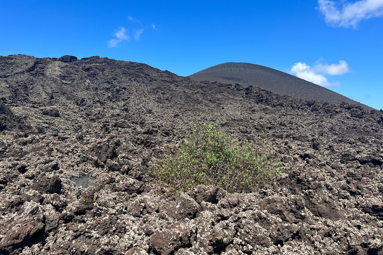 Lanzarote: Guided Hike discover volcano history and culture