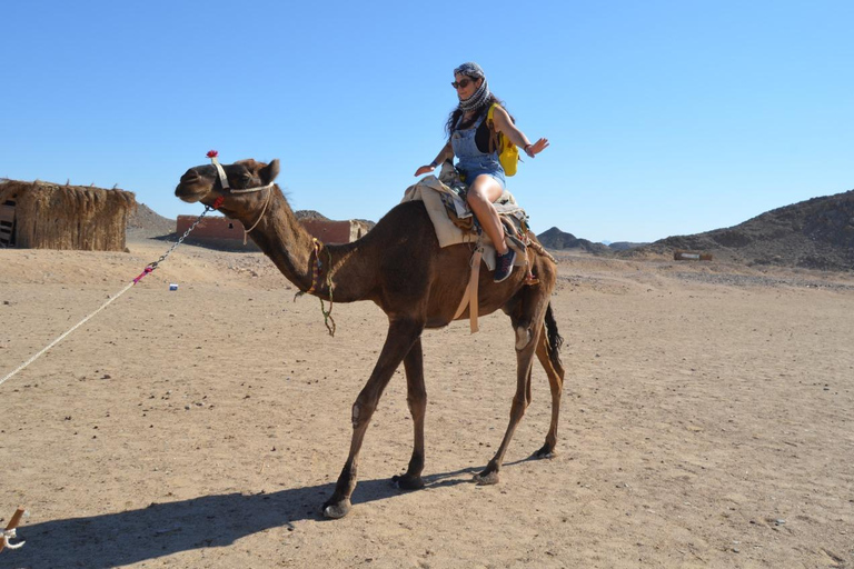 Hurghada: Camel Ride & horse ride and Off-Road Jeep Tour pickup from hotels inside hurghada