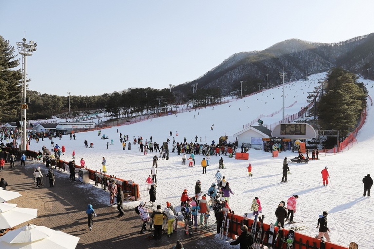 Seoul: Jisan Forest Winter Ski Day Tour with Basic Lesson SNOWBOARD Full Package - Meet at DDP Station