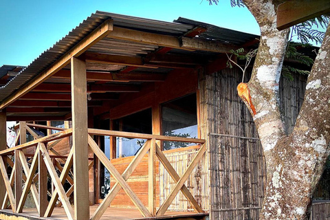 Panamá; San Blas Dos días en la selva todo incluido